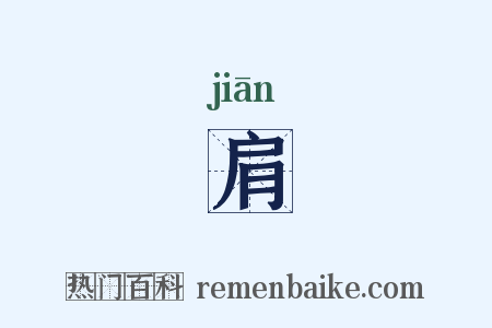 肩是什么意思的图片